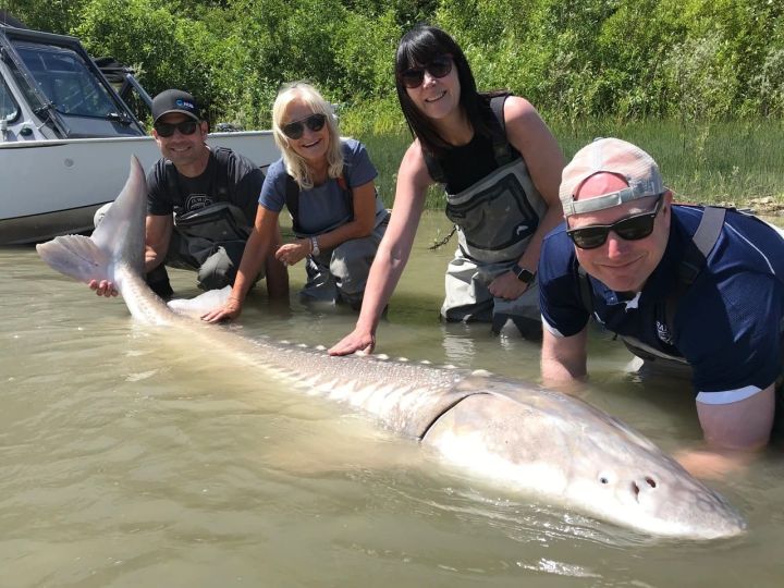 Sturgeon Conservation - Rick's Heart Foundation